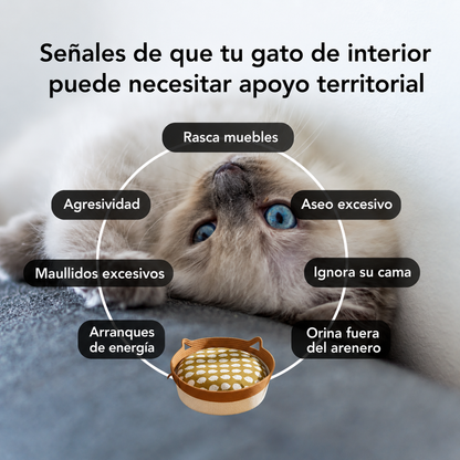 Cat nest | Su rincón para rascar, descansar y sentirse seguro