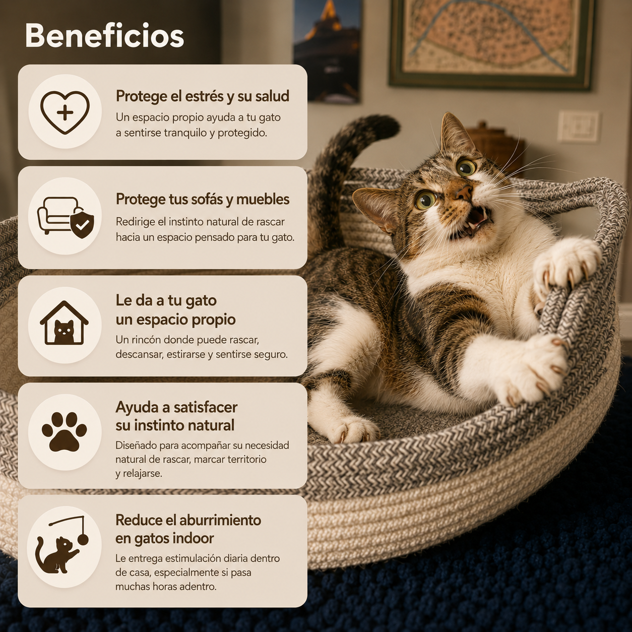 Cat nest | Su rincón para rascar, descansar y sentirse seguro